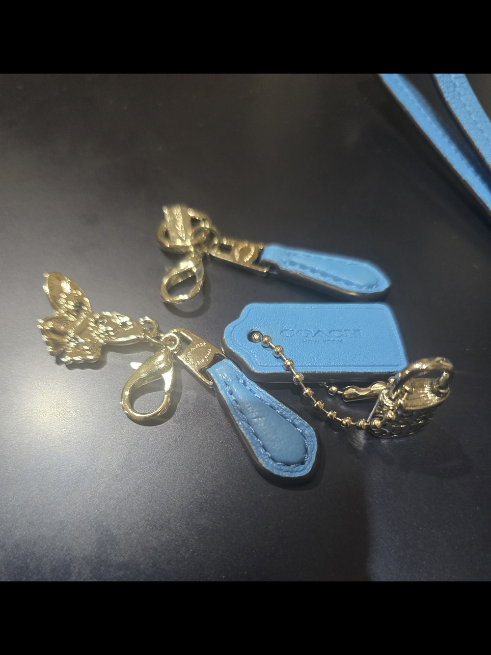 Blue Coach Charms Bundle